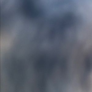 Meet your Posher, Riley